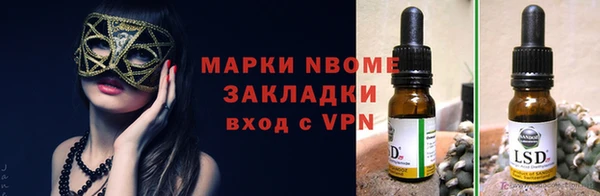 ГАЛЛЮЦИНОГЕННЫЕ ГРИБЫ Алзамай